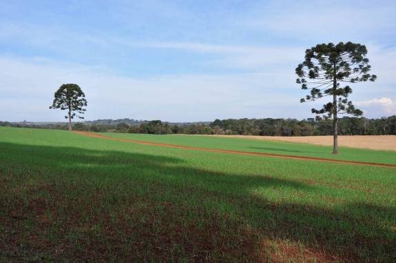 Área rural de Prudentópolis - PR